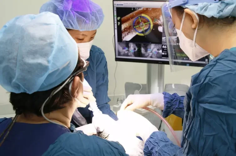 Cấy ghép Implant All on 6 bằng robot định vị