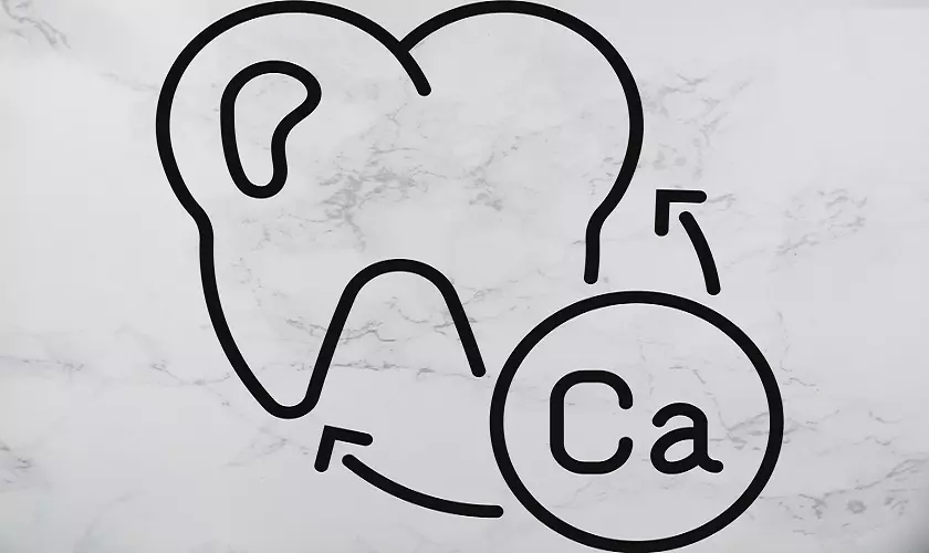 Tầm quan trọng của canxi với răng