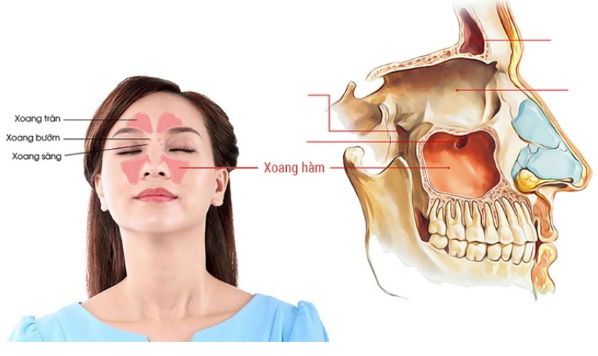 Khâu vá màng xoang tại Implant Center