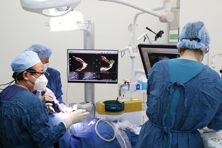 Phẫu thuật đặt Implant vào xương hàm với công nghệ định vị X-Guide tại Implant Center